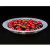 Assiettes Rondes Jetables en Plastique Fan Shun