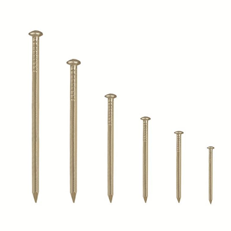 Small Hanging Nails Set for Wall Hanging, 300 Gold Tone Round Head Iron Nails in 6 Lengths with Storage Case for Daily Home Projects