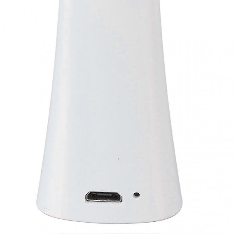 Electric Eye Massager Wand Wrinkle Removal Hot Compress Microcurrent Rechargeable LED Light Eye Beauty Instrument