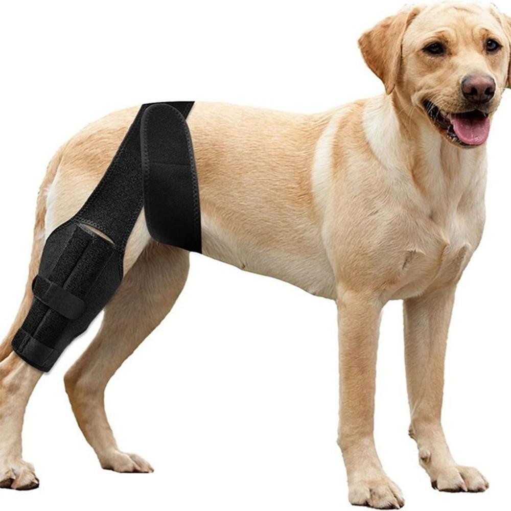 Adjustable Pet Leg Support Flexible Pet Recovery Bandage Dog Leg Protector Leg Injury Care