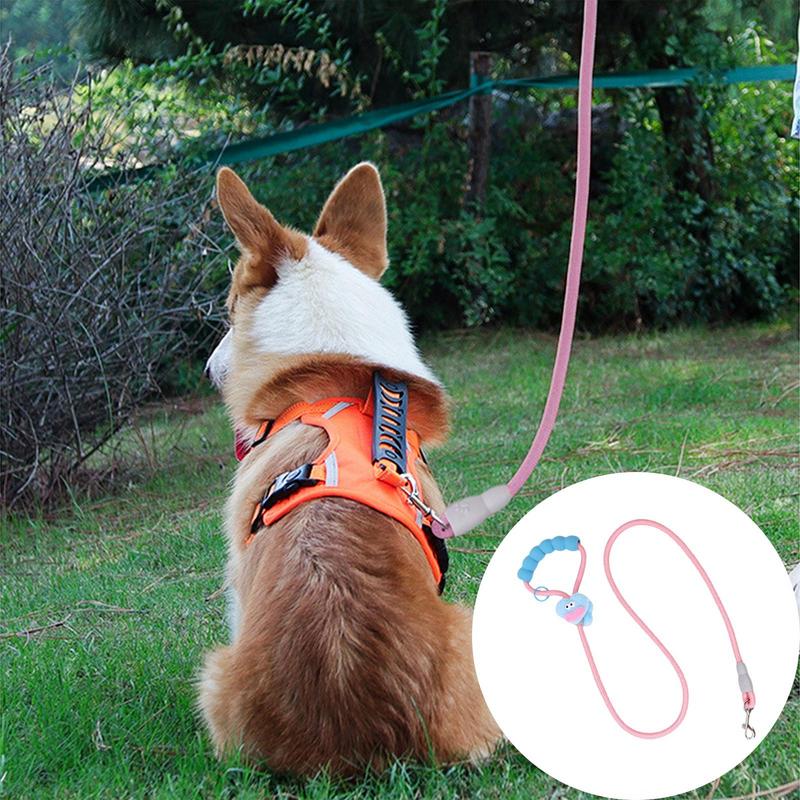 Haustierleine Kleine Hunde Seil Wurstmund Design Kein Ziehen Kausicher Geschirr Für Training Und Sport Wandern Radfahren Reisen Und Draußen