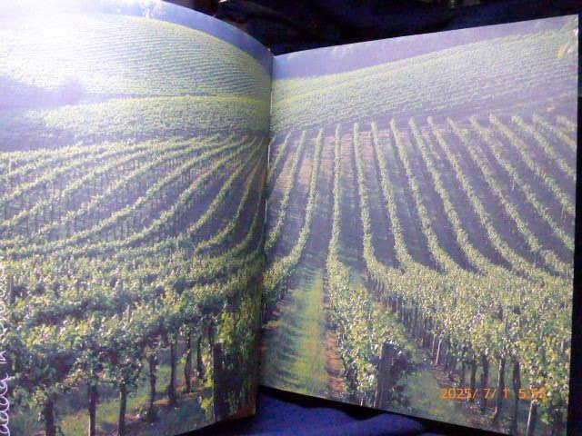 [USED] Photo Book: Italian Travel Diary by Carla Coulson Italian Joy