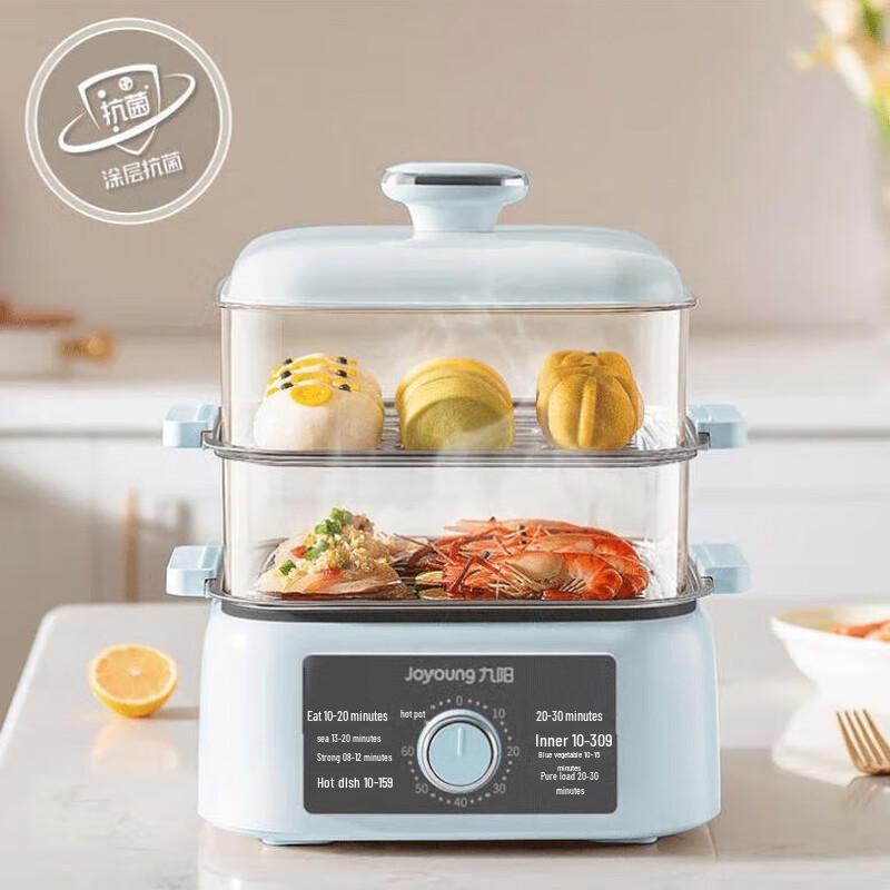 Electric Steamer