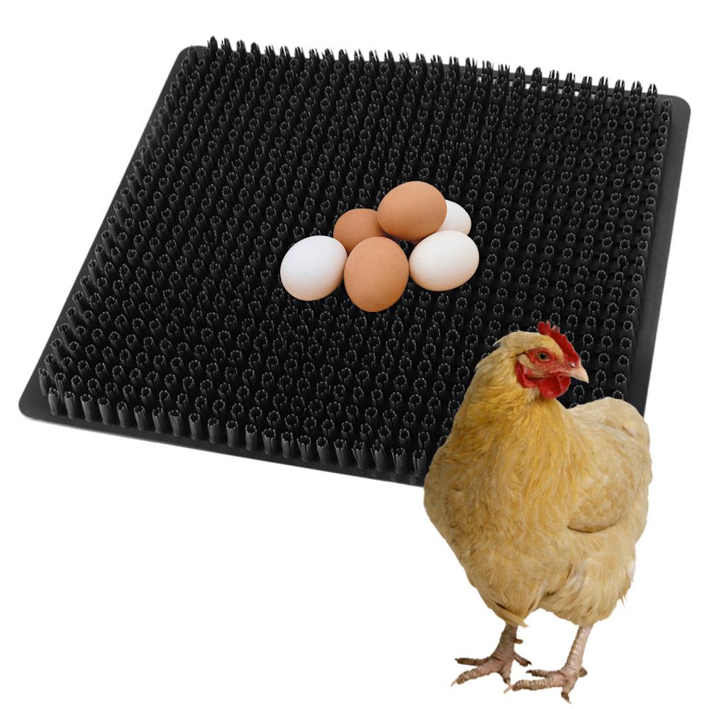 Tappetini Rettangolari Tagliabili per Nidi di Galline in Plastica Tappetini Lettiera per Galline Rivestimenti per Cassette Tappetini Colorati per la Deposizione delle Uova