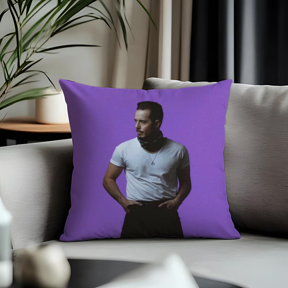 Trending JJose Madero Vizcainoed Cushion Cover Antidustmite Pillowcase Invisible Zipper Silky Short Plush Sofa Cushion Cover