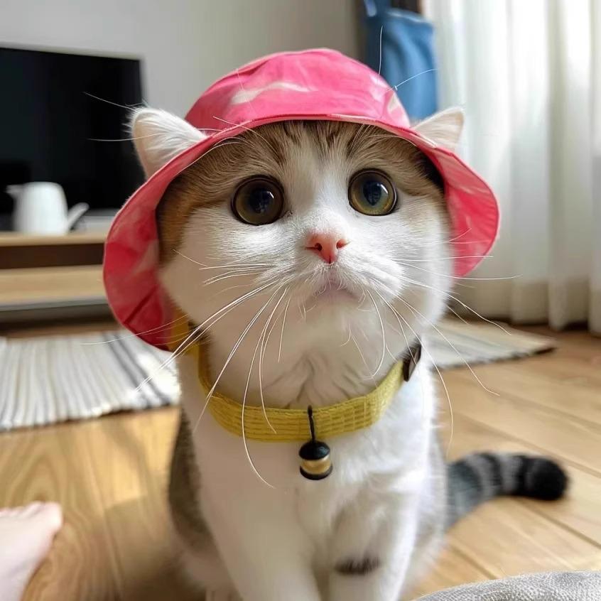 Adorable Ear-Revealing Sun Hat for Cats & Dogs – Perfect for Summer!