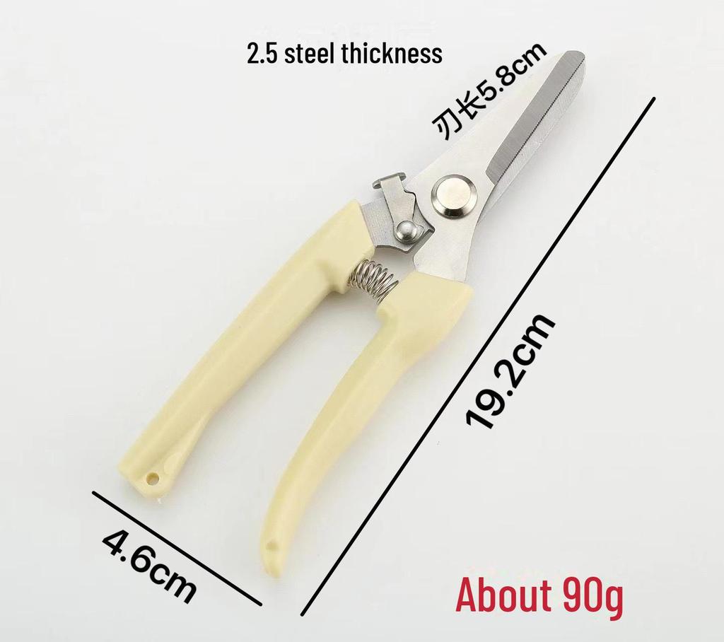 Stainless Steel Pruning Shears for Fruit, Flower, and Branch Gardening