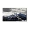 Canvas Painting Snow Mountain Cool Wolf Poster Wall Art Picture Wall Decor Prints Art For Living Room Home Decor Frameless Gifts