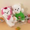 Kleidung anziehen und sich in eine gemeinsame Bären-Plüschpuppe verwandeln Kindergeschenk Geburtstagsgeschenke und Kleidung Wechselstil