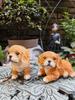 Resin Puppy Golden Hair Decorative Dog Statues Ornaments Cute Animal Home Decor Room Decoration Desk Kawaii Home Decoration
