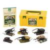 Carolata 3D Illustrated Rhinoceros Beetle Figures (6 Types / Includes Instruction Manual) Realistic Toys (Educational Toys) Birthday Gift Present (Foo