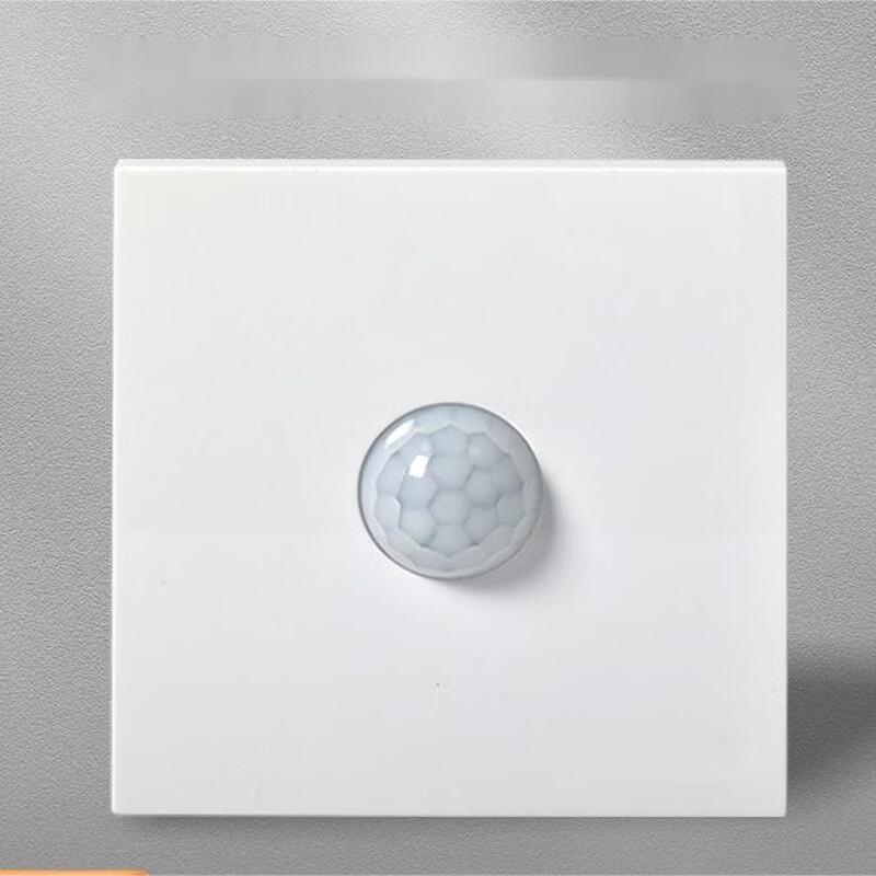 Lieve 220V Motion Sensor Light Switch with Photosensor