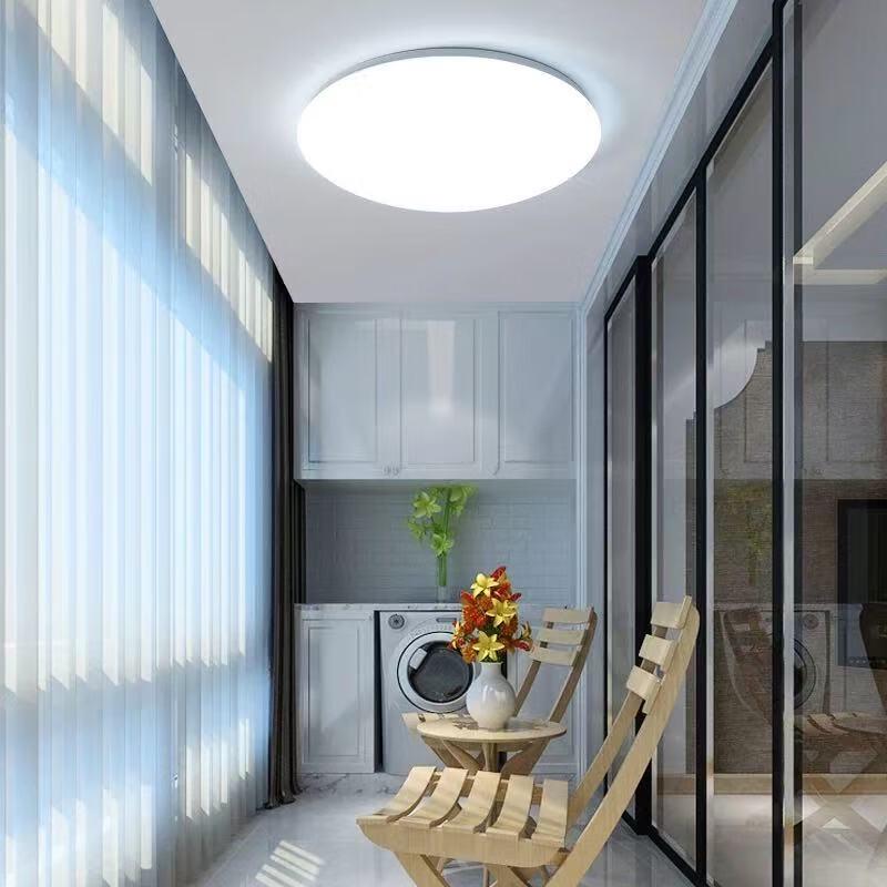 Minimalist Round LED Ceiling Lamp