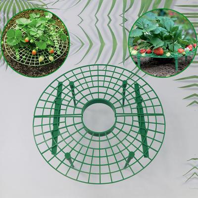 5/10PCS Garden Strawberry Stand Home Balcony Growing Vegetable Stand Plant Climbing Vine Prop Strawberry Stand