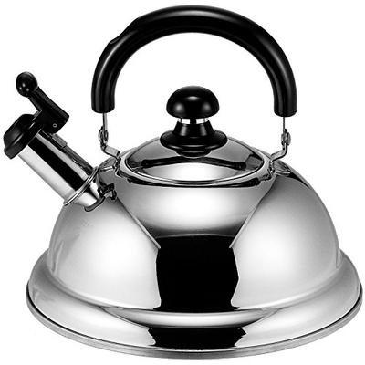 Takei Kibutsu Seisakusho Quick One Energy-Saving Whistling Kettle, 2.5L, TK-250