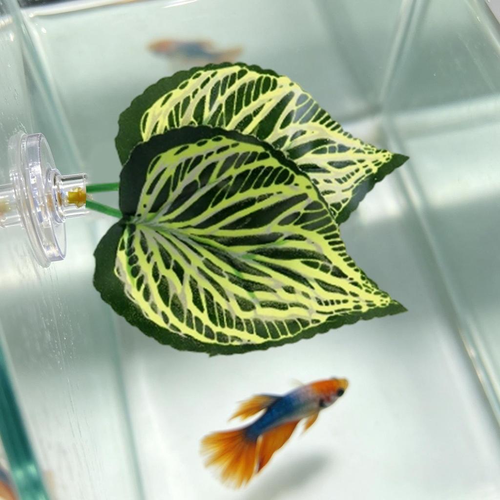 Betta Leaf Hammock Betta Fish Leaf Bed Resting Leaf Pad Natural Environment Fish Spawning Grounds Aquarium Fish tank decoration