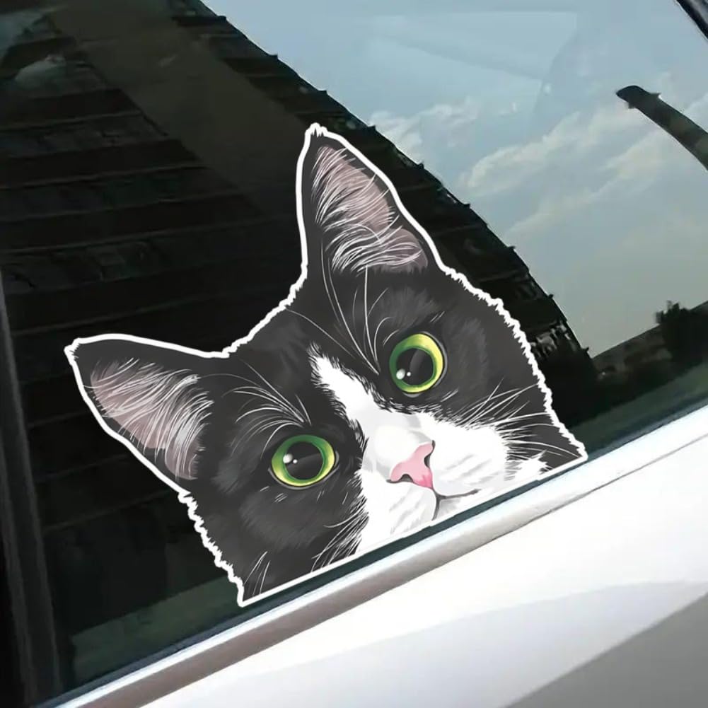 Set of 2 Black and White Curious Cat Car Stickers 5.5"x5.1" Cartoon Design Waterproof