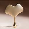 Ginkgo Guasha (Gua Sha)