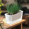 Multifunctional Vegetable Drinking Pots Rectangular Planted Vegetables
