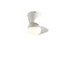 Walnut Chinese Style Ceiling Fan Light – Silent, Full Spectrum for Living Room and Bedroom