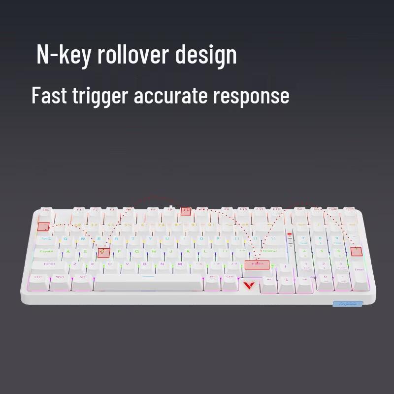 Rapoo V500PRO-98 Upgrade 98-Key Wired RGB Mechanical Keyboard