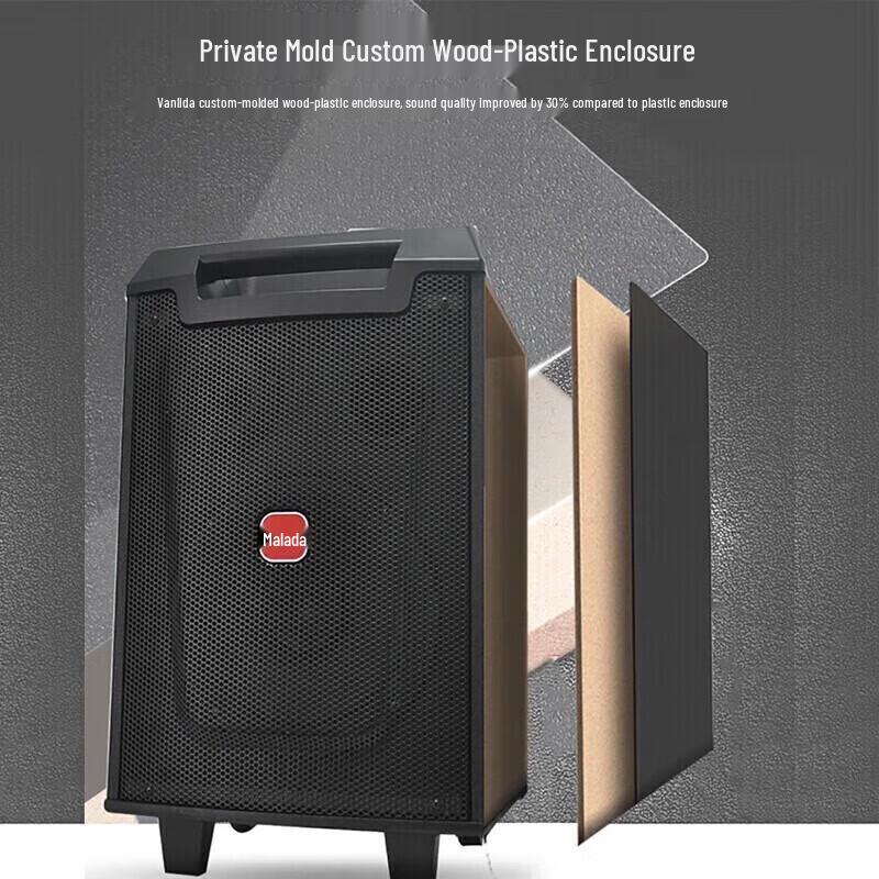 Malata M+9047 12-inch Portable Bluetooth KTV Speaker (CN version)