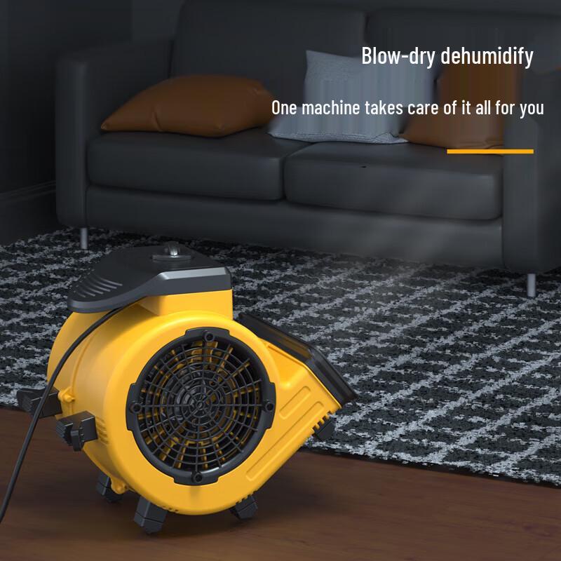 Deli 90W Silent Floor Blower & Dryer