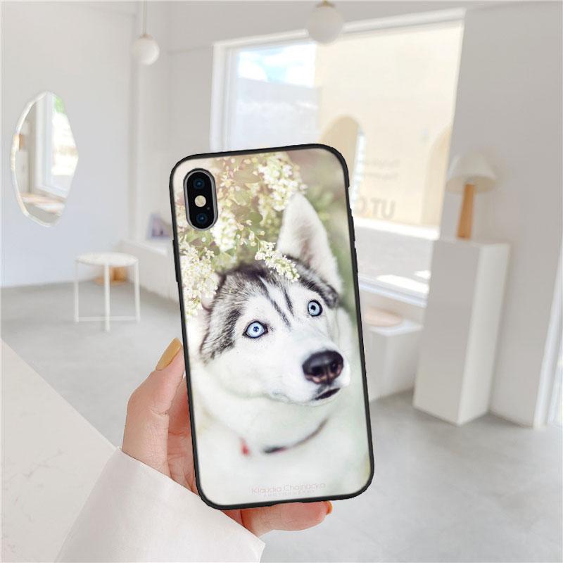 LO53 Husky Puppy Dog Soft Shell Phone Case for OPPO A40 A60 A80 A15 A16 A16K A12 A17 A17K A54 A54S A53 A53S A55 A56 A57 A98 F23 OPPO A53s 5G