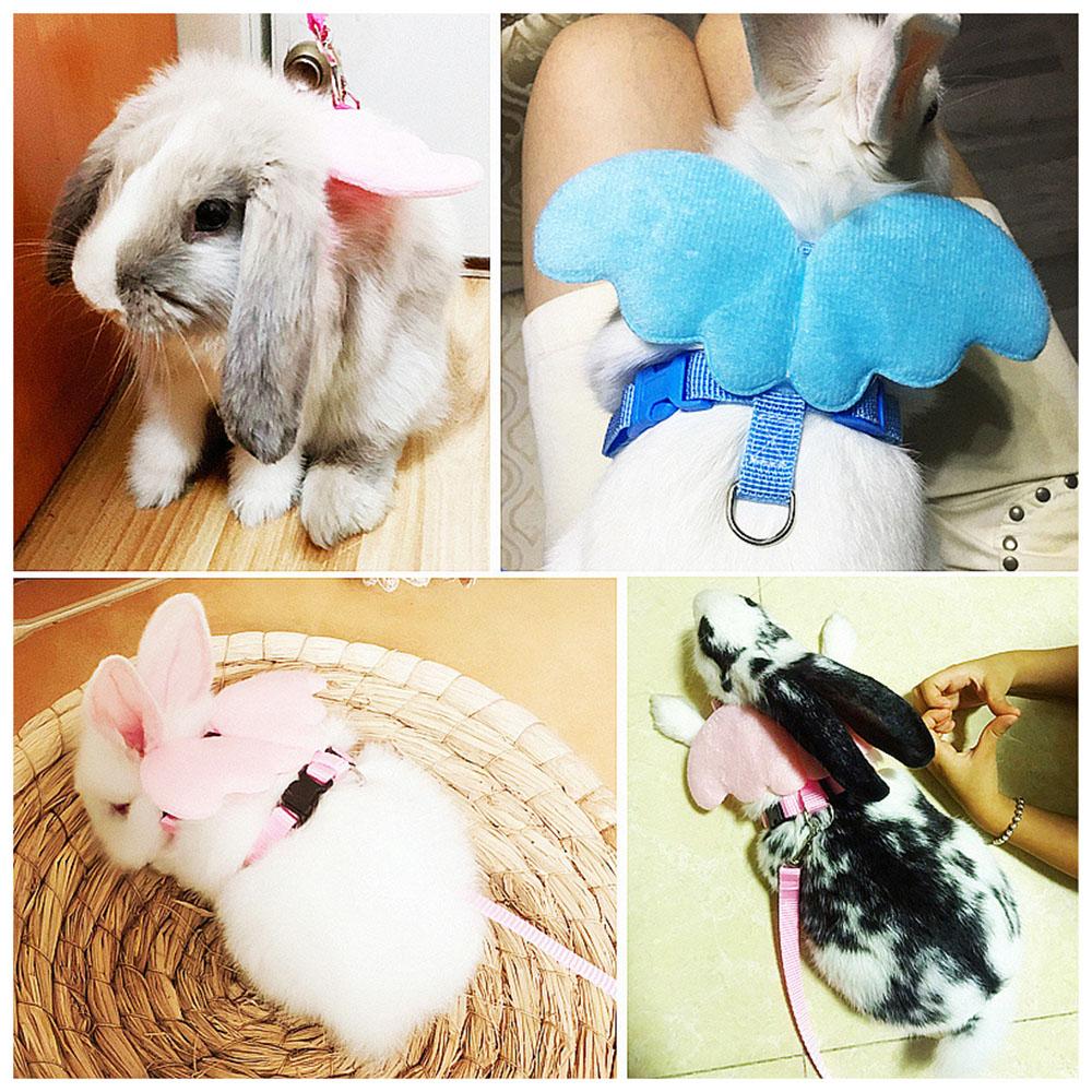 Cat Harness Rabbit Harness and Leash for Walking Easy Control with Pet Traction Rope for Small Animal Puppy Kitten Gooses Ducks