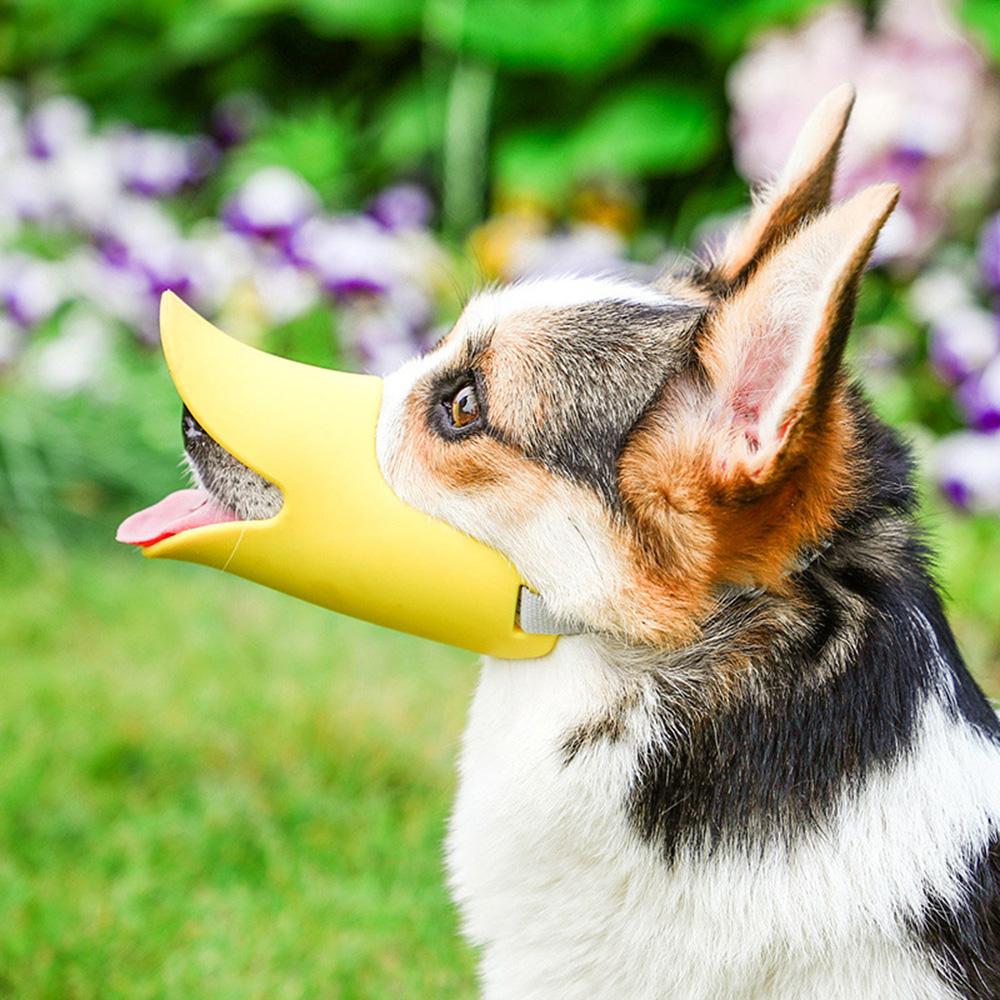 Basket Muzzle For Brachycephalic Dogs Buy Dog Muzzle Mask Anti