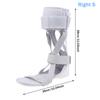 S/L Splint Ankle Foot Orthosis Support Drop Foot Ankle Orthosis Support Feet Splint Stroke Valgus Joint Leaf Spring Correction