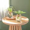 2pcs Transparent Hydroponic Plants Glass Vase Ome Decorative Hydroponic Bottle Desktop Plant Vase Soilless Tabletop Ornament