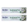 Sri Sri TATTVA Sudanta Herbal Gel Multi Action Toothpaste 100G X Pack Of 2 For Kids Adults