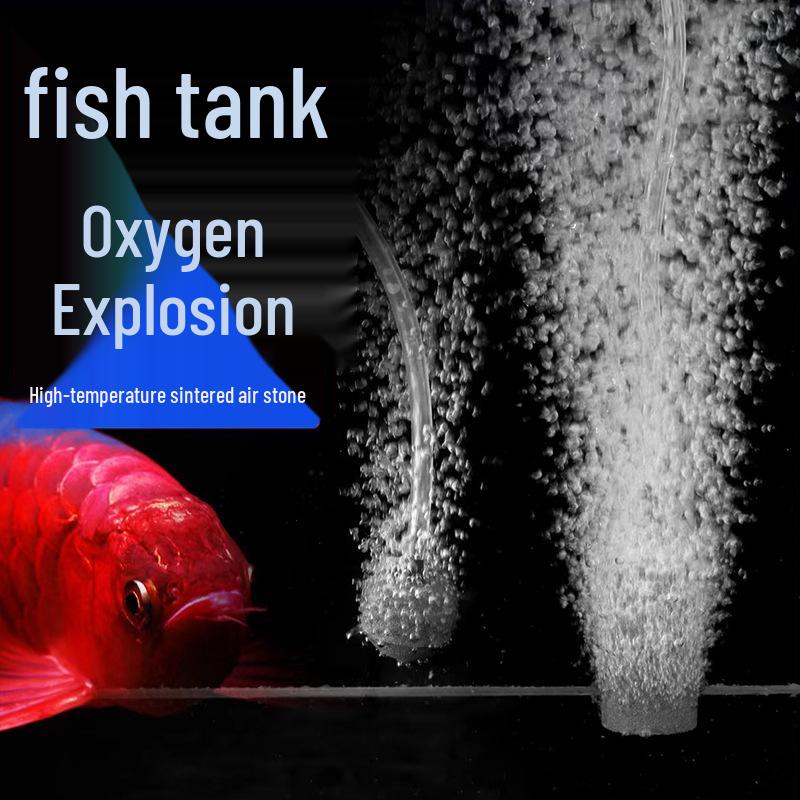 Fish Tank Aeration Stone: Oxygenating Bubble Stone for Aquariums & Fish Farming 22x22