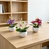 Mini Fake Jasmine Potted Plant For Home Decor And Photography Props