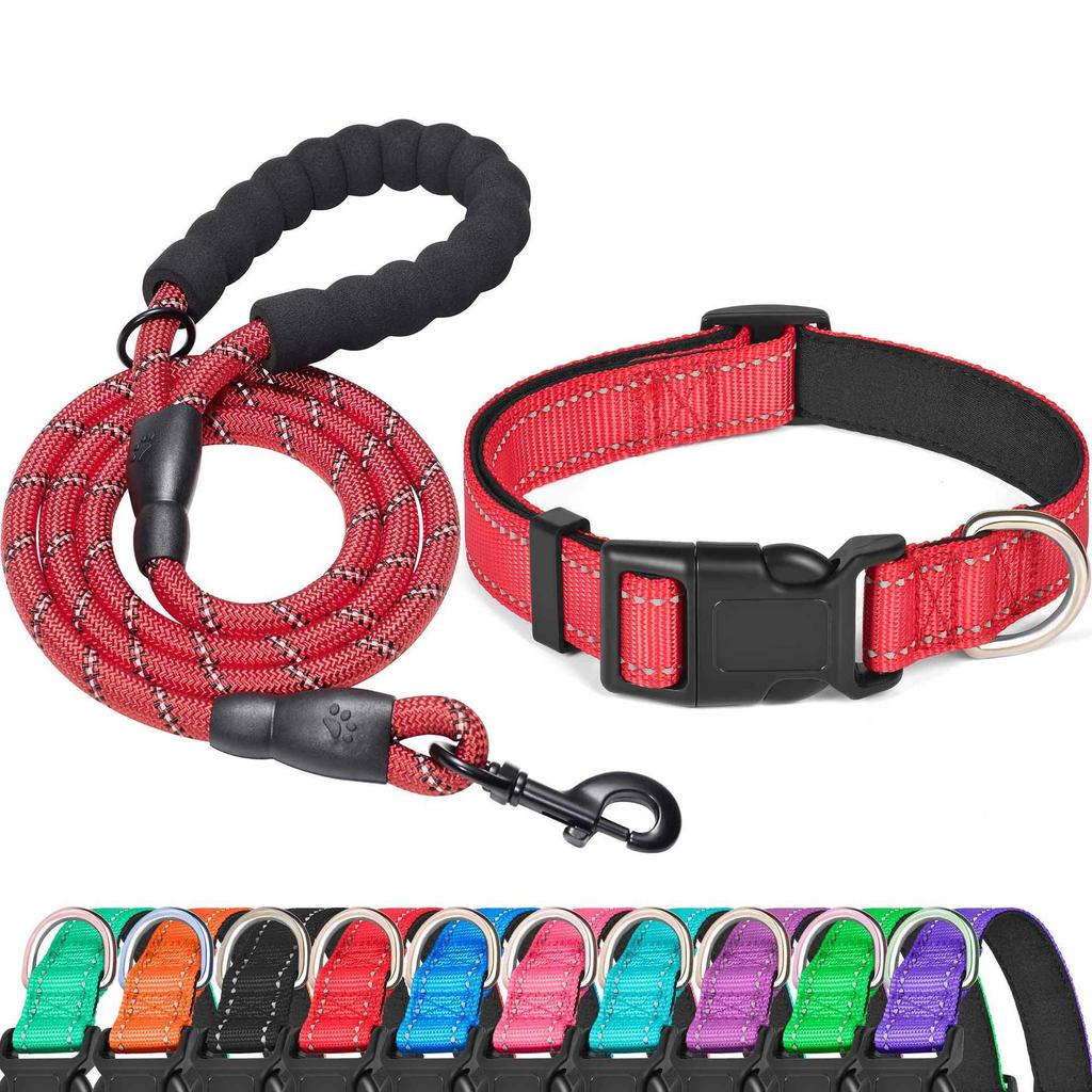 Durable Shock-Absorbing Dog Leash & Collar Set for Medium and Large Dogs - Anti-Pull, Safe & Comfortable