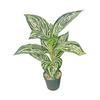 Desktop Rubber Tree & Aspidistra Potted Plant - Bionic Green Landscape Ornament