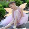 Multicolor Fairy Wings Organza Dress-Up Wings Costume Elf Angel Wing  Party Accessories