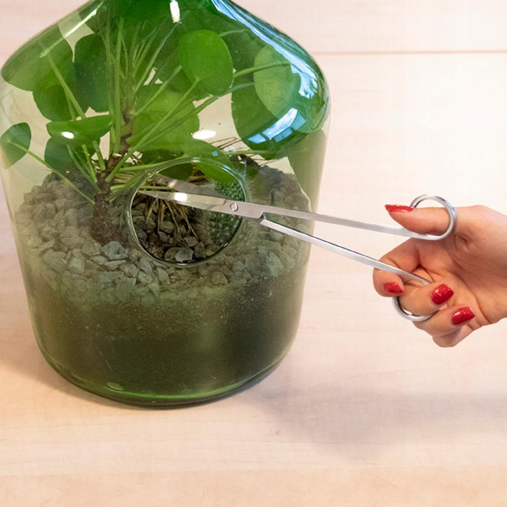 Long leaf scissors for plants in glass