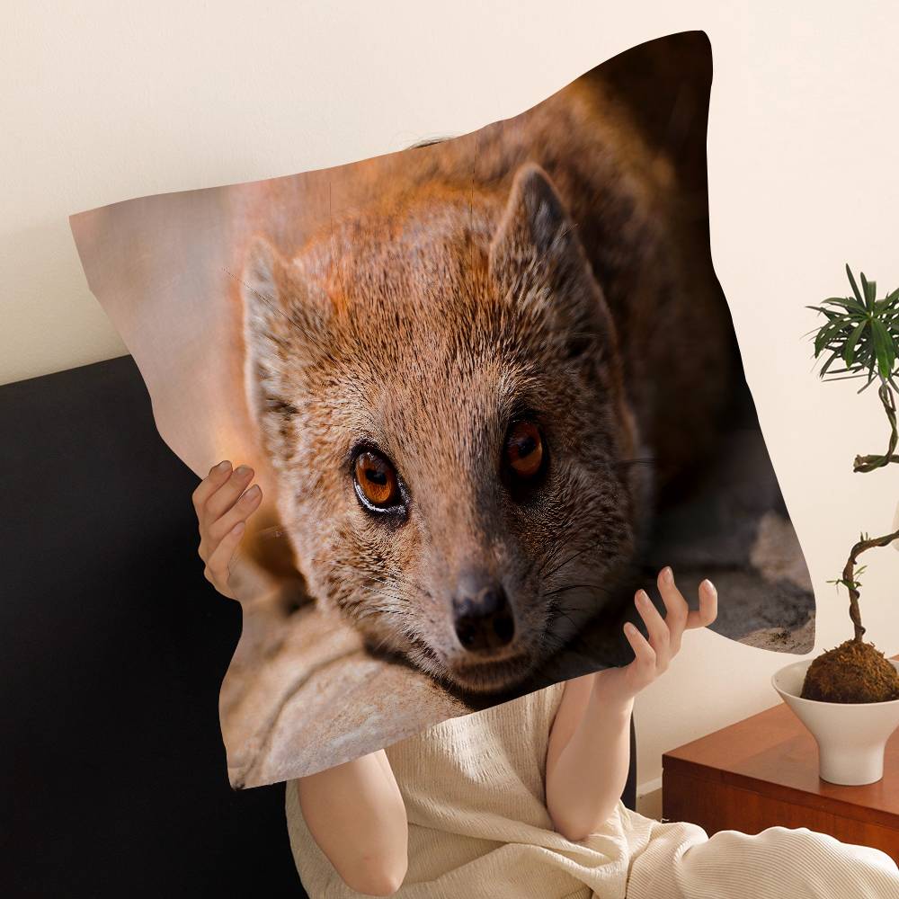 Rock Hyrax Animal Cushion Cover Pillow Cover Decor Pillowcase Printed Cushion Case for Couch