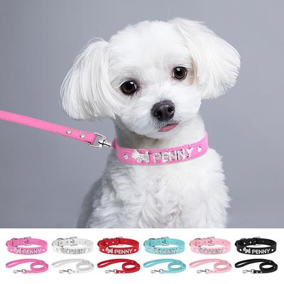 Köpek – Köpek Tasmaları ve Tasma Kayışları