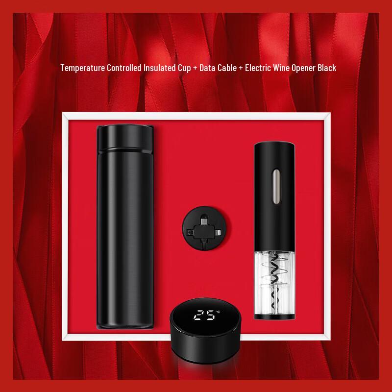 Temperature Control Insulated Mug Gift Set