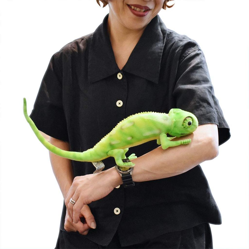 BH6937 HANSA Chameleon 42