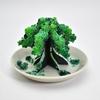 Chatani Leafy Tabletop Bonsai, H8 X W12 X D12cm, 39-031 [FunScience], Made In Kyoto, Japan