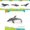 Ensemble de modèles en PVC d'animaux marins pour enfants avec des figures de cétacés réalistes pour le jeu éducatif