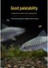 Dolphin Girolar High Protein Fish Food - Blue, Red, Gold Variants - Sinking, Color-Changing, Growth Formula for Bottom Feeders