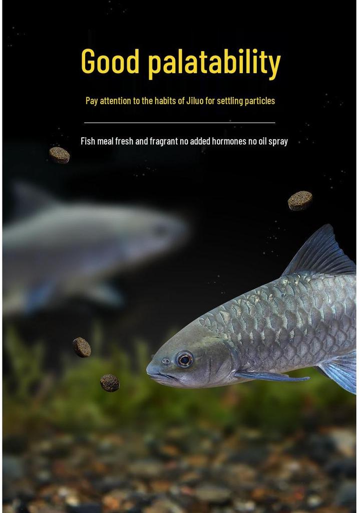 Dolphin Girolar High Protein Fish Food - Blue, Red, Gold Variants - Sinking, Color-Changing, Growth Formula for Bottom Feeders