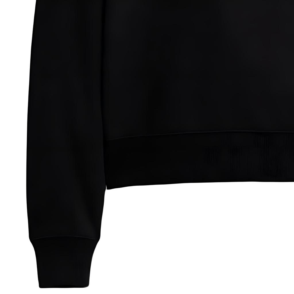 Coach Sweatshirts Men's Black Crew Neck Moderate Other CL646-BLK