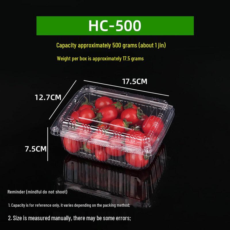 

Disposable Rectangular Plastic Fruit Container