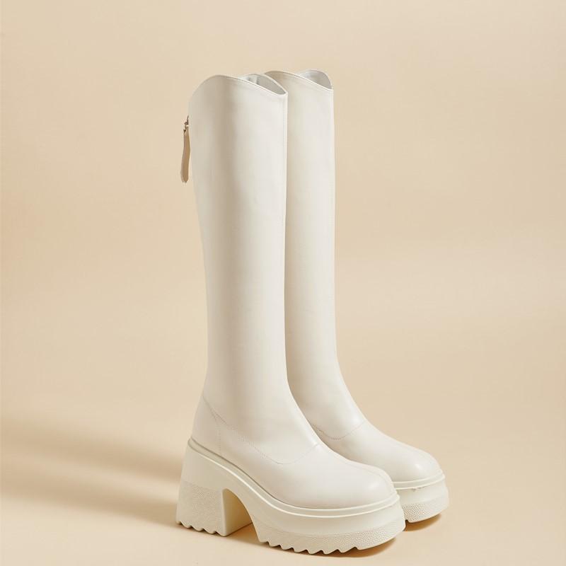 Fashion AIYUQI High Heel Boots Women Autumn 2025 New Genuine Leather Platform Boots Women Skinny Leg 10cm Heel High Female Rider Boots